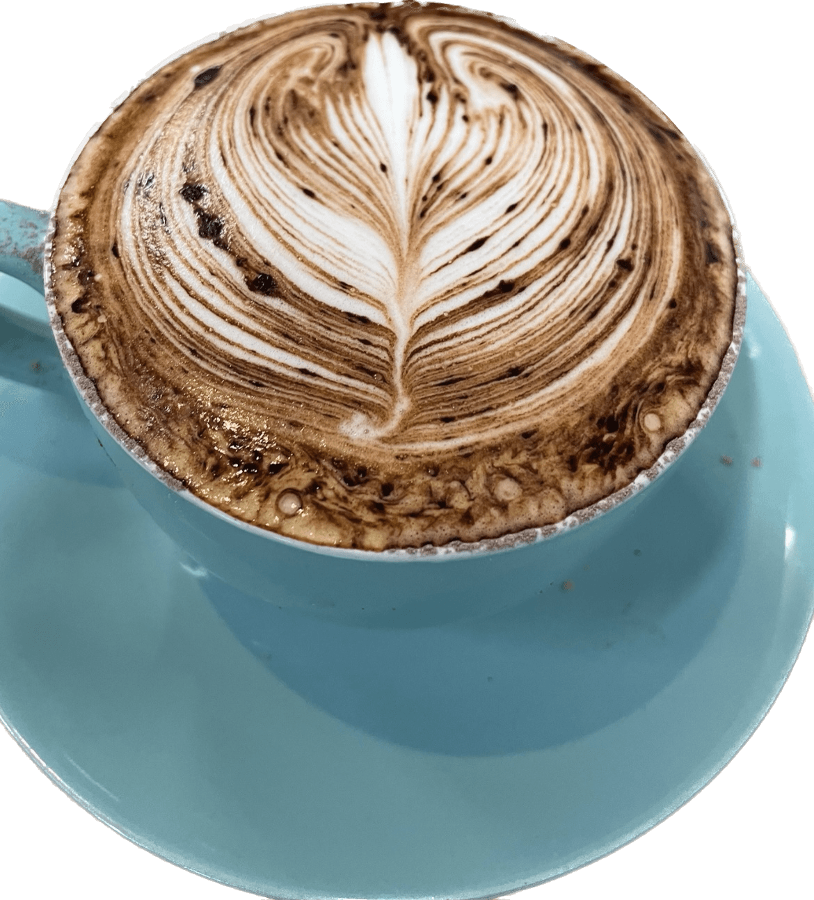 Coniston Bakery and Gerringong Bakery storefront or business cover