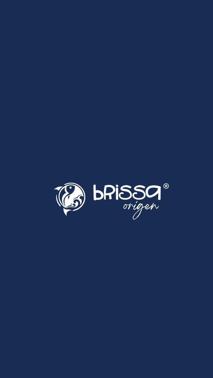 BRISSA ORIGEN logo